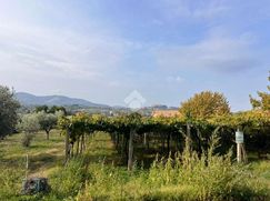 Terreno agricolo in Commerciale