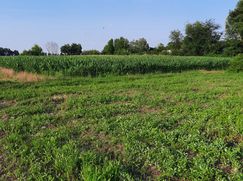 Terreno agricolo in Commerciale