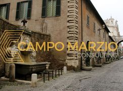 Negozio/Locale commerciale in Commerciale