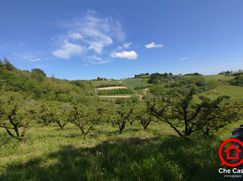 Terreno agricolo in Commerciale