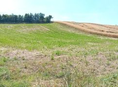 Terreno edificabile in Residenziale