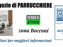 Attività/Licenza (con o senza mura) in Commerciale