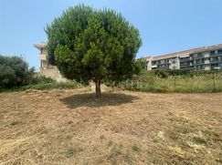 Terreno agricolo in Commerciale