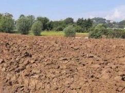 Terreno edificabile in Residenziale