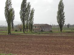 Rustico/Casale in Residenziale