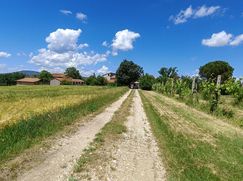 Rustico/Casale in Residenziale