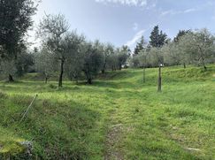 Terreno agricolo in Commerciale