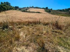 Terreno agricolo in Commerciale