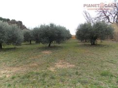 Terreno agricolo in Commerciale