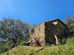 Rustico/Casale in Residenziale