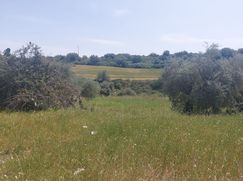 Terreno edificabile in Residenziale