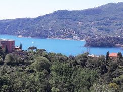 Attico/Mansarda in Residenziale