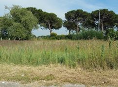 Terreno edificabile in Residenziale