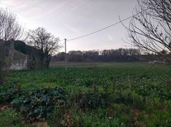 Terreno edificabile in Residenziale