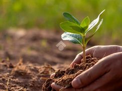 Terreno edificabile in Residenziale