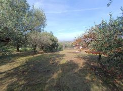 Terreno agricolo in Commerciale
