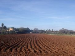 Terreno edificabile in Residenziale