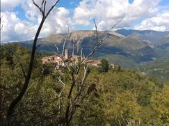 Rustico/Casale in Residenziale