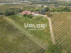 Terreno agricolo in Commerciale