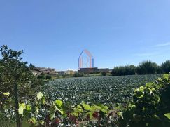 Terreno edificabile in Residenziale