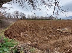 Terreno agricolo in Commerciale