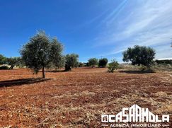 Terreno agricolo in Commerciale