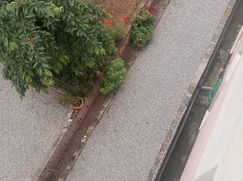 Edificio in Residenziale