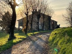 Rustico/Casale in Residenziale