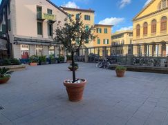 Negozio/Locale commerciale in Commerciale