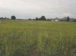 Terreno edificabile in Residenziale