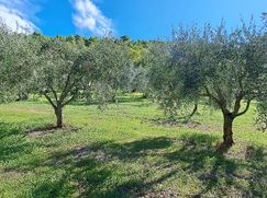 Terreno agricolo in Commerciale
