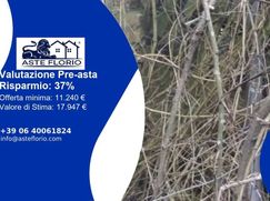 Rustico/Casale in Residenziale