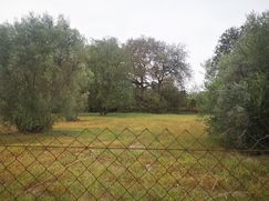 Terreno edificabile in Residenziale