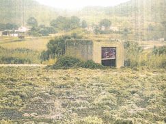 Terreno agricolo in Commerciale