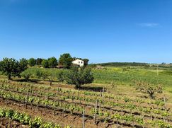 Rustico/Casale in Residenziale