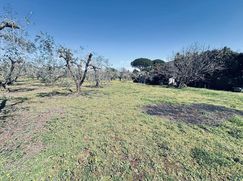 Terreno edificabile in Residenziale