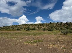 Terreno agricolo in Commerciale