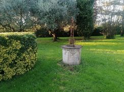 Villetta a schiera in Residenziale