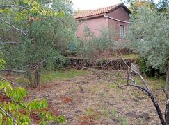 Terreno agricolo in Commerciale