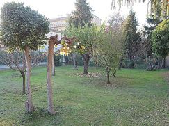 Terreno agricolo in Commerciale