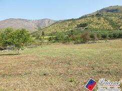 Terreno agricolo in Commerciale