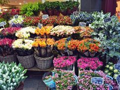 Attività/Licenza (con o senza mura) in Commerciale