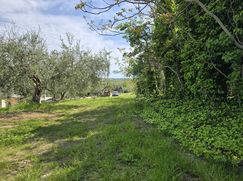 Terreno agricolo in Commerciale