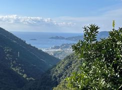 Rustico/Casale in Residenziale