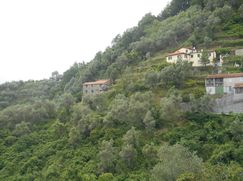 Rustico/Casale in Residenziale