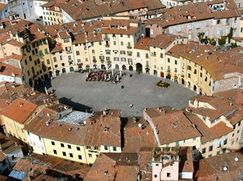 Negozio/Locale commerciale in Commerciale