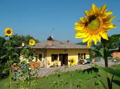 Casa Bi/Trifamiliare in Residenziale