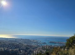 Terreno agricolo in Commerciale