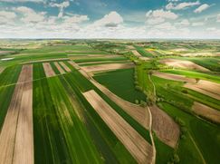 Terreno edificabile in Residenziale