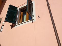 Casa Bi/Trifamiliare in Residenziale